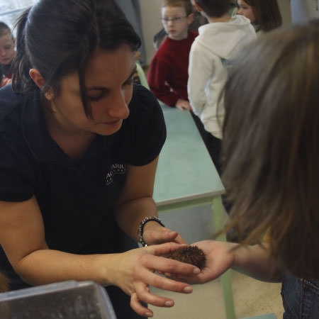 Atelier découverte - Activités pédagogiques - Aquarium La Rochelle