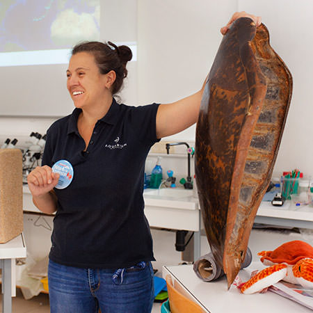 Centre Tortues Marines - Aquarium La Rochelle