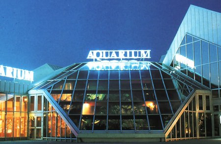 Histoire de famille - Aquarium des Minimes - Aquarium La Rochelle