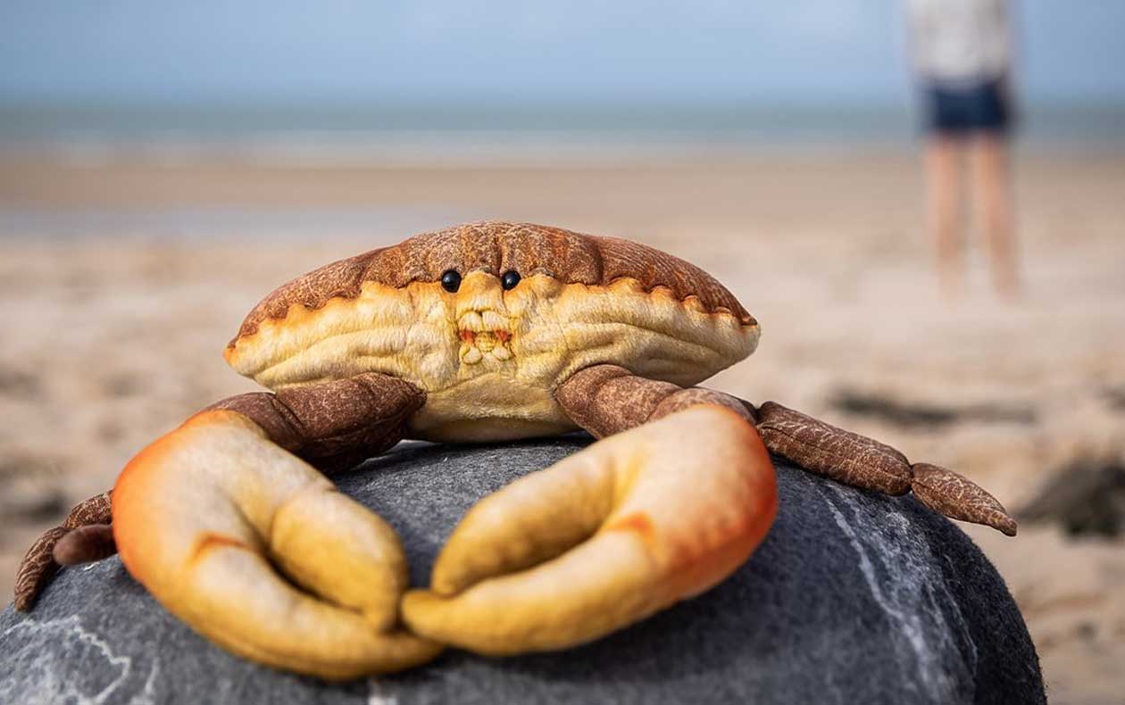 Boutique Mémoires d'Océans - Aquarium La Rochelle