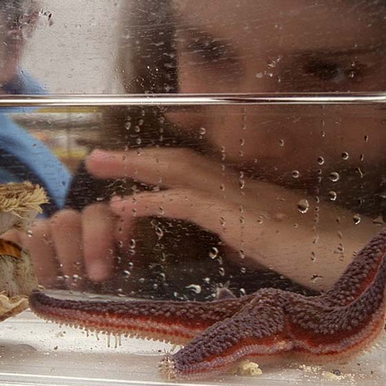 Atelier découverte - Aquarium La Rochelle