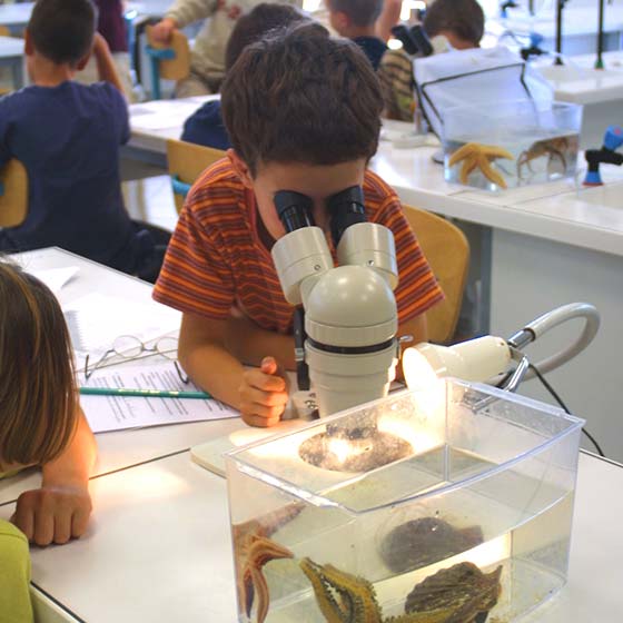 Travaux pratiques - Aquarium La Rochelle