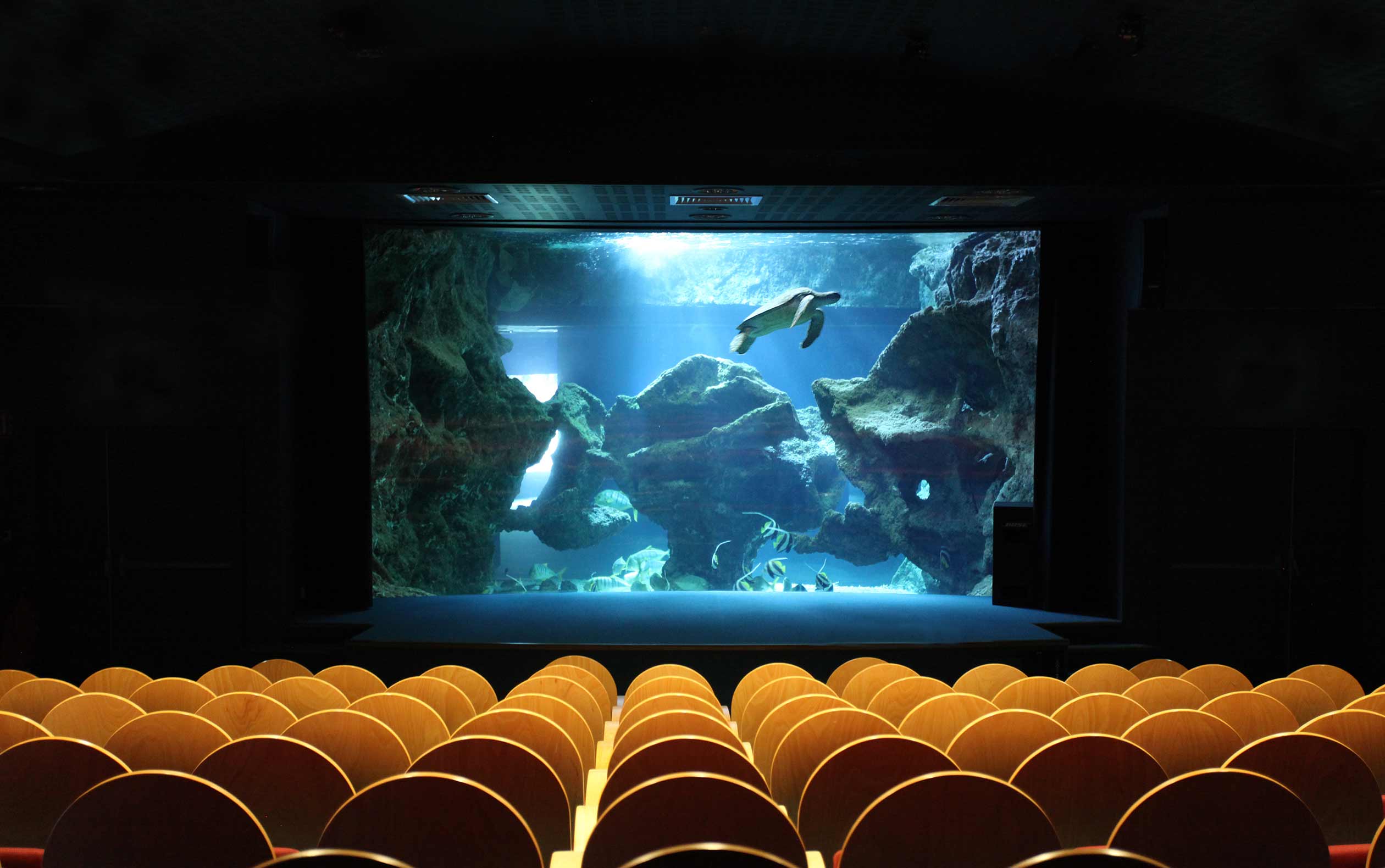 Amphithéâtre René Coutant - Séminaire et privatisation - Aquarium La Rochelle