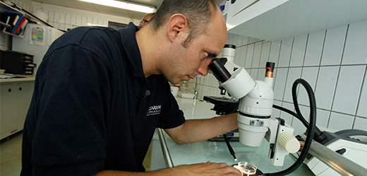 Recherche scientifique - Coulisses - Aquarium La Rochelle