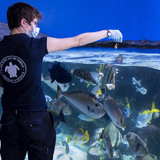 Nourriture pour poissons - La Ferme des Animaux