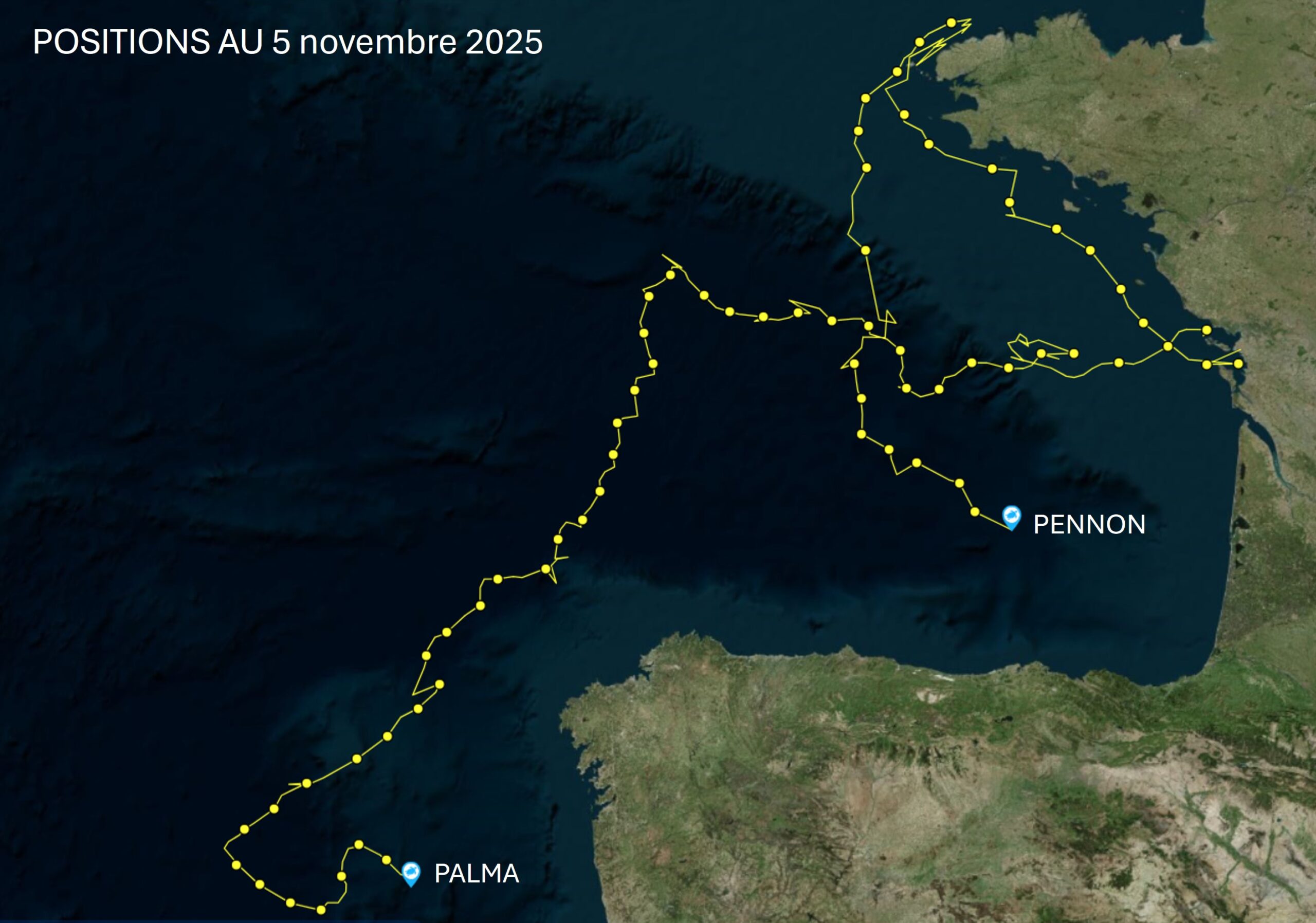 Position GPS des tortues marines soignées et remisé à l'eau par le CESTM