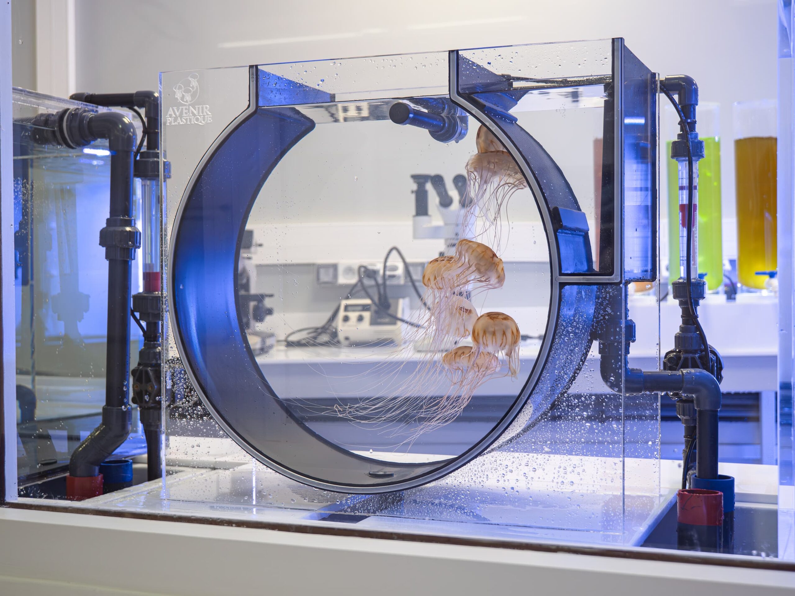 Espace un oeil en coulisses à l'Aquarium La Rochelle