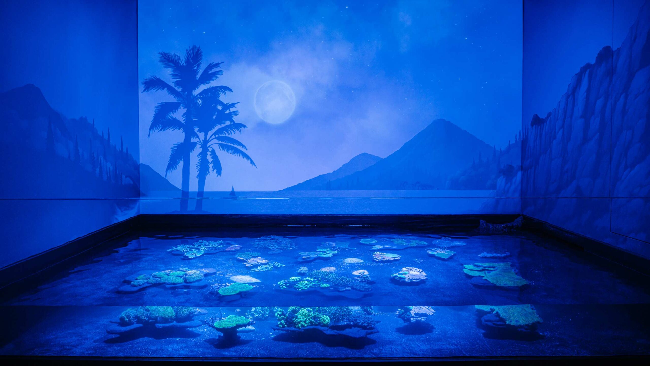 Nouveautés 2026 : le lagon la nuit