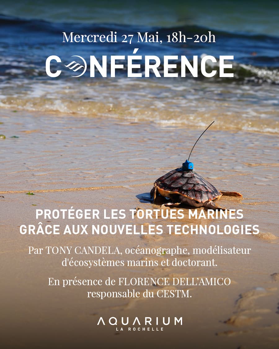 Conférence à l'Aquarium La Rochelle : Protéger les tortues marines grâce aux nouvelles technologies