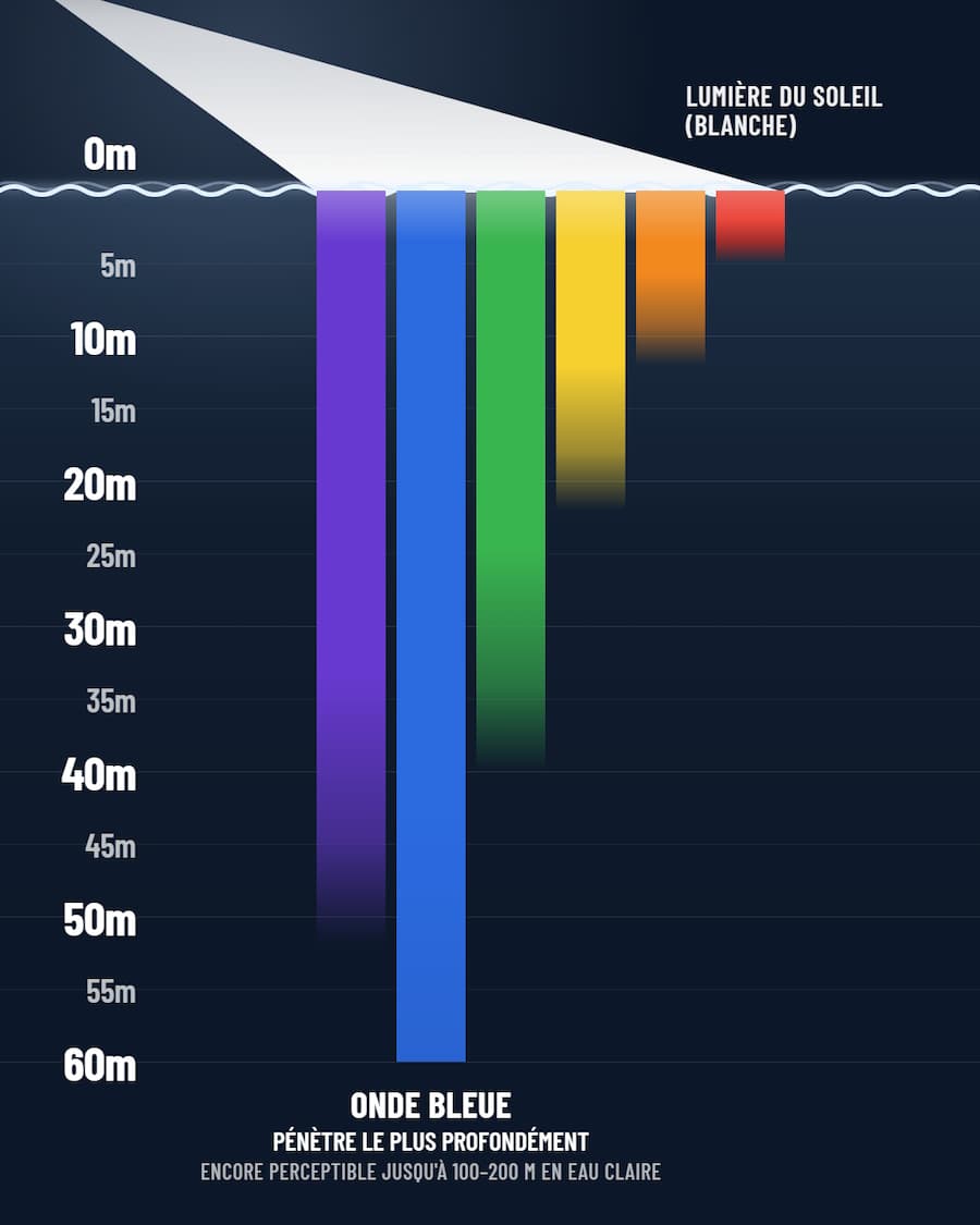 Schéma simplifié de l'absorption des différentes ondes de couleurs qui constituent la lumière blanche du soleil en fonction de la profondeur de l'océan.
